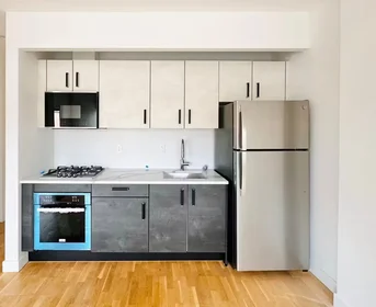整套公寓 在 Dekalb Avenue, Clinton Hill, 8的图像4