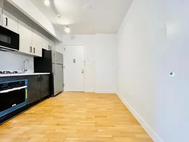 整套公寓 在 Dekalb Avenue, Clinton Hill, 8的图像5