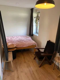 Apartamento inteiro em Meimorgenstraat, Amsterdam-West, imagem 6 de 6