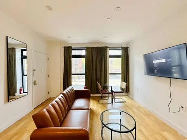 整套公寓 在 Dekalb Avenue, Clinton Hill, 8的图像6