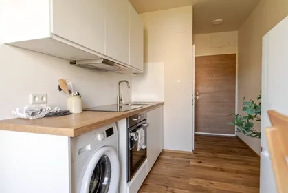 Logement entier à Grazer Straße, Andritz, image 3 de 8