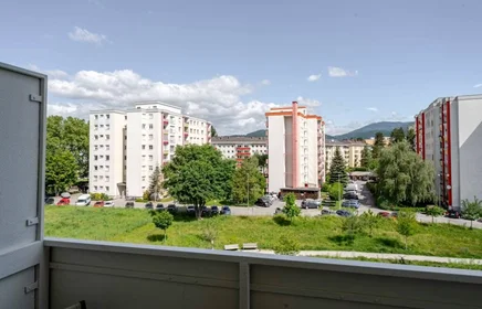 Logement entier à Grazer Straße, Andritz, image 7 de 8