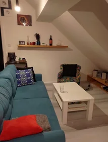 Appartamento intero in U Smaltovny, Holešovice, immagine 1 di 7