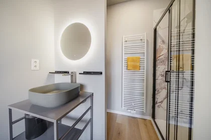 Chambre privée à Rue Joseph Saintraint, Namur, image 3 de 8