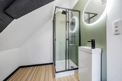 Privatzimmer in der Rue du Parc, Mons, bild 3 von 8