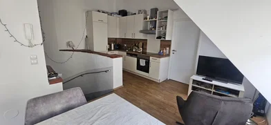 Gesamte Unterkunft in der Klimschgasse, Landstraße, bild 4 von 10