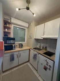 Entire apartment at Quai de Dion Bouton, , image 2 of 10