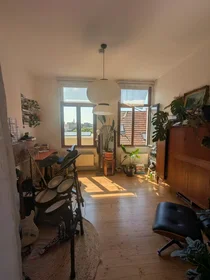 Entire apartment at Maaldersstraat, Amandus-Atheneum, image 1 of 10