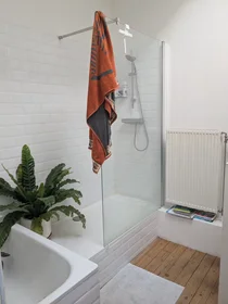 Entire apartment at Maaldersstraat, Amandus-Atheneum, image 6 of 10