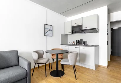 Logement entier à Trommsdorffstraße, Altstadt, image 5 de 10
