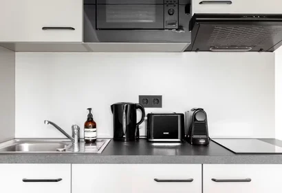 Logement entier à Trommsdorffstraße, Altstadt, image 6 de 10