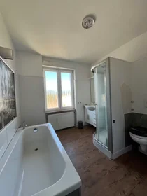 Private room at Nauheimer Straße, Frankfurt am Main-Innenstadt II, image 6 of 8