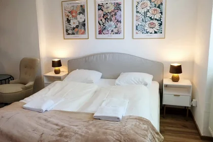 Appartamento intero in Münzgrabenstraße, Jakomini, immagine 2 di 10