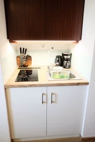 Appartamento intero in Münzgrabenstraße, Jakomini, immagine 4 di 10