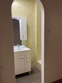 Appartamento intero in Münzgrabenstraße, Jakomini, immagine 7 di 10