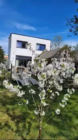 Dairenin tamamı konumu Afsneemolenstraat, Afsnee, 10 10 görüntüsü