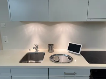 Całe miejsce Alte Landstrasse, Rüschlikon, obraz 7 10