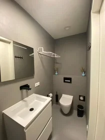 Entire apartment at Achterdijk, Noord, image 7 of 7