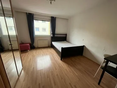 Chambre à louer dans un appartement en colocation à {area}