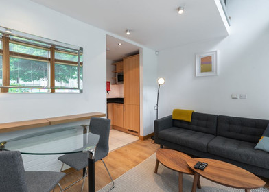 Apartamento moderno y luminoso en Dublín