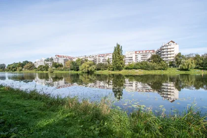 Całe miejsce ulica Grochowska, Praga Południe, obraz 8 10
