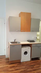 Private room at Hegergasse, Landstraße, image 6 of 10