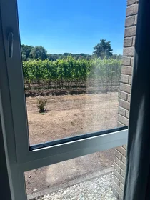 Privatzimmer in der Rheingaustraße, Oestrich, bild 6 von 10