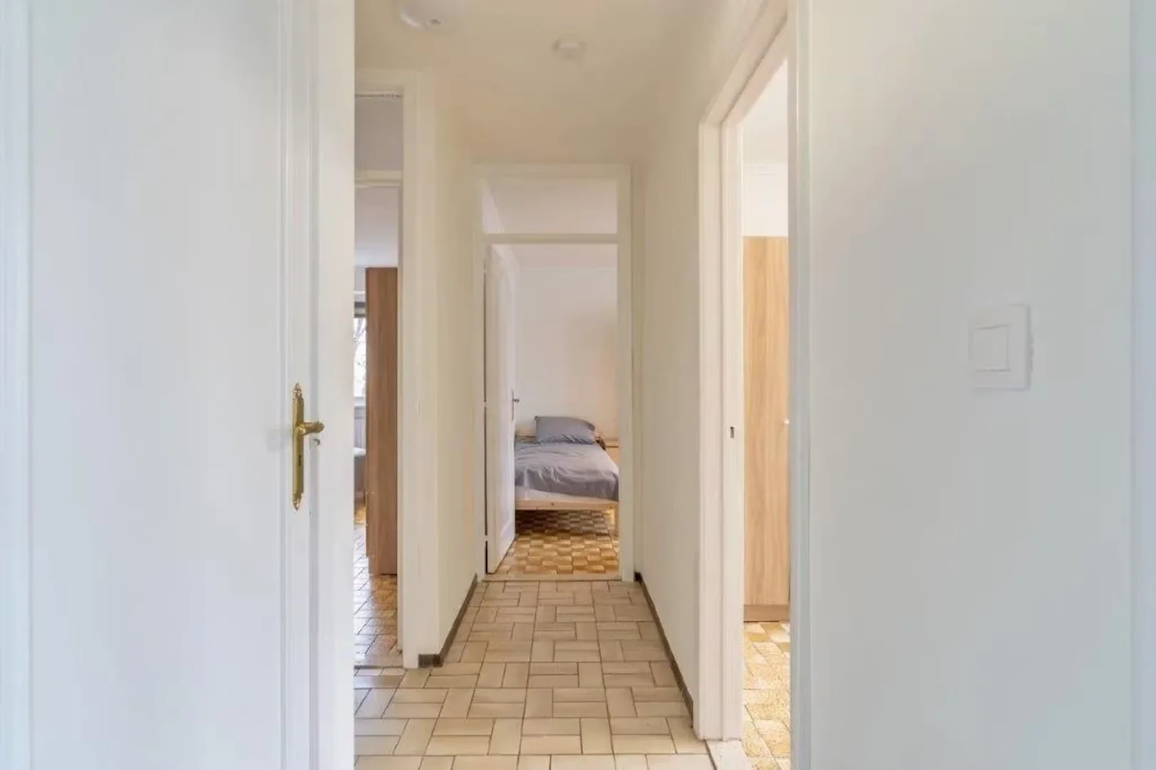 Herdersstraat, Vucht