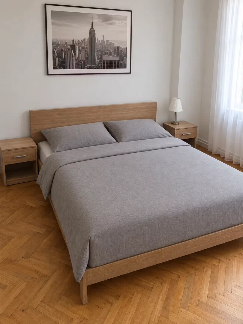 Vyšehradská, Nové Město