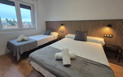 Entire apartment at Calle Gregorio Marañon, Vallobín, image 9 of 10