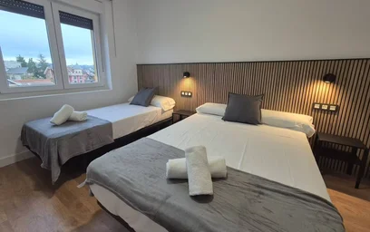 Entire apartment at Calle Gregorio Marañon, Vallobín, image 3 of 10