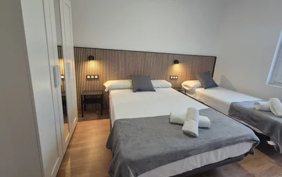 Entire apartment at Calle Gregorio Marañon, Vallobín, image 7 of 10