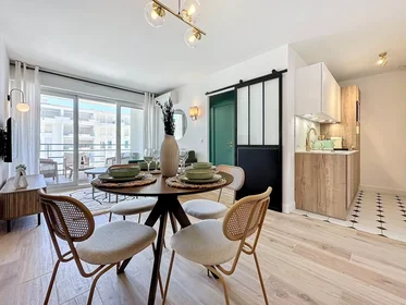 Entire apartment at Avenue de Cannes, Juan les Pins, image 2 of 10