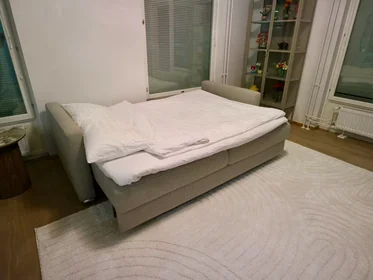 Całe miejsce Piispanportti, Espoo, obraz 10 10