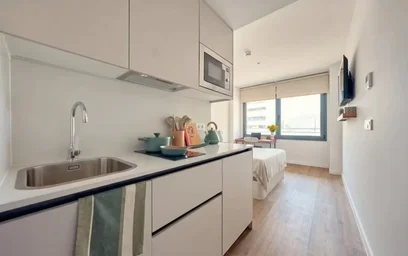 Entire apartment at Avenida de España, image 4 of 10