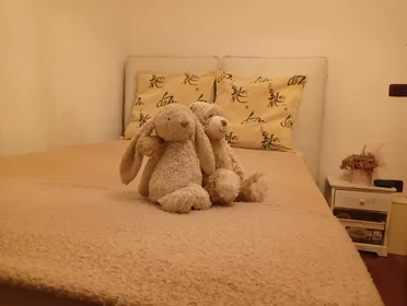 Zimmer zur Miete in einer WG in {area}