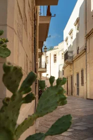 Alojamiento con 3 habitaciones en {area}