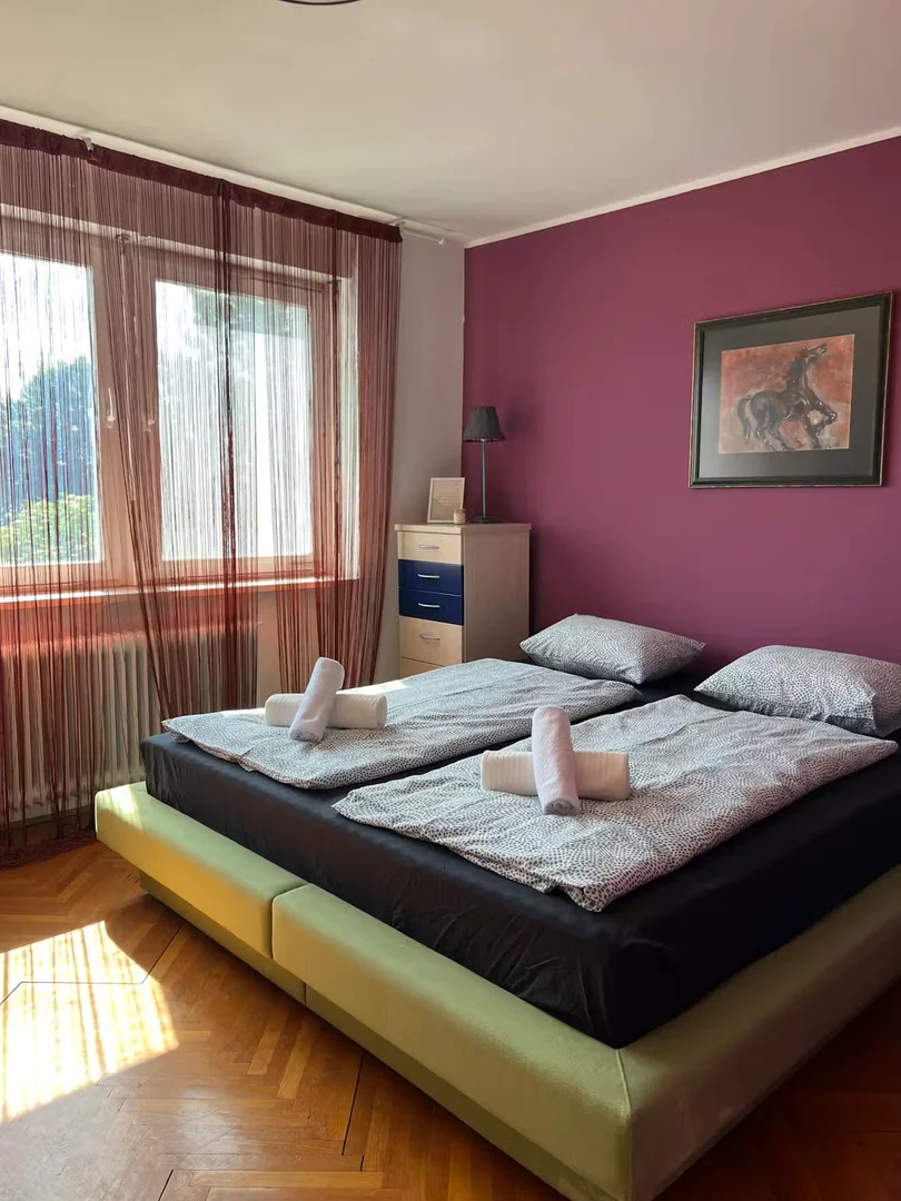 Habitación asequible para estudiantes con buena iluminación en 