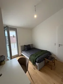 Room for rent in a shared flat in {area}