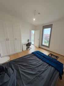 Room for rent in a shared flat in {area}