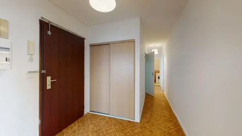 Habitación privada en Rue du 1er Mars 1943, Perralière, imagen 10 de 10