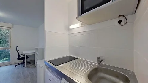Entire apartment at Rue du 74ème Régiment d'Infanterie, Centre Ville/Rive Gauche, image 8 of 10