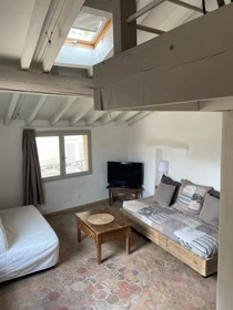 Appartamento intero in Rue Petite Saunerie, immagine 1 di 30