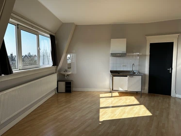 Özel oda konumu Valkenbosplein, 2 10 görüntüsü