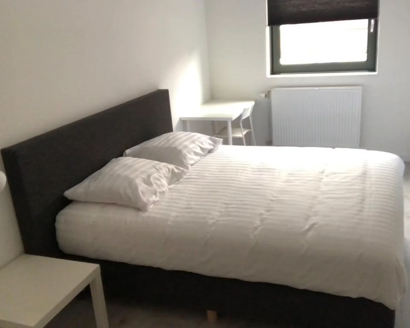 Budgetfreundliches Studentenzimmer in Campusnähe in 
