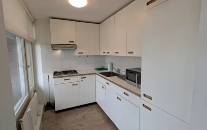 Appartamento intero in Willebrordstraat, immagine 10 di 10