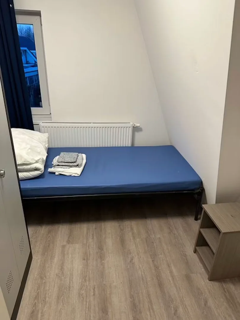 Inialoane,