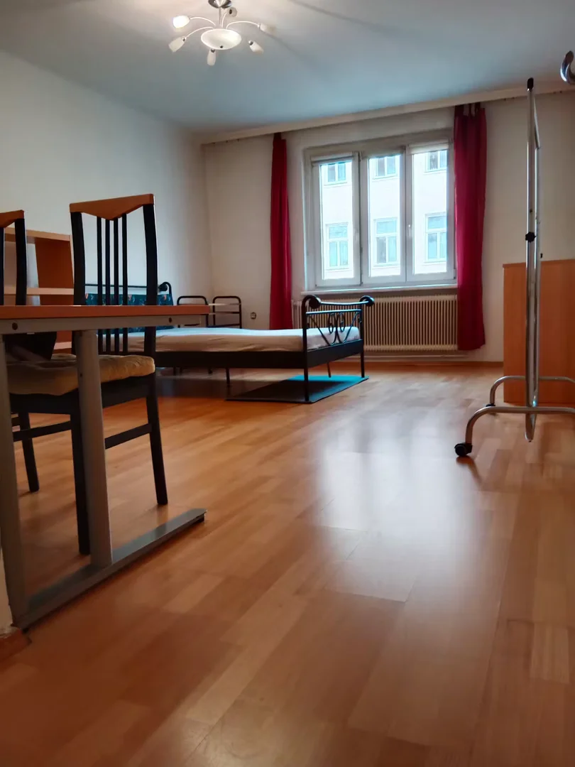 Cozy room for students available in 