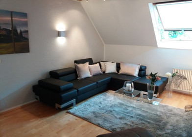 Accommodation with 3 bedrooms in Leverkusen