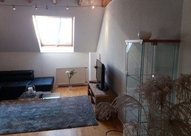 Accommodation with 3 bedrooms in Leverkusen